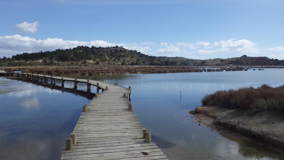 ballade a peyriac de mer sur le ponton